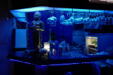14 march L1070137.JPG