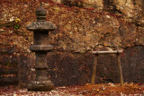 24 november P1053999a.jpg