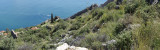 Alanya march 2018 4036.jpg