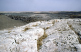 Urfa 1997 Desert tour 151.jpg