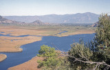 Dalyan Near Iztuzu 98 109.jpg