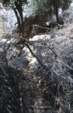 Dalyan Near Iztuzu 98 175.jpg