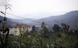 Rize Tea country 2002 126.jpg