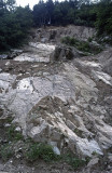 Rize Interior 2002 187.jpg