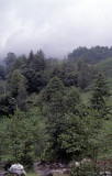 Rize Interior 2002 197.jpg