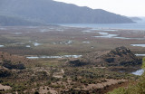Dalyan view of delta with dalyans 1b.jpg