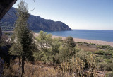 Dalyan view of eastern beach 1b.jpg