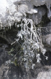 Pamukkale cliffs vegetation