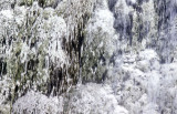 Pamukkale stream