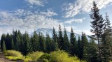 Mt. Shasta in the distance