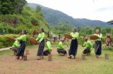 A harvest dance