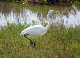 DSC00070-001.JPG