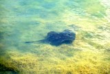 DSC00557-001.JPG