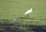 DSC00582.JPG