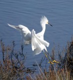 A hair-raising landing