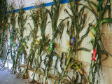 PICT2058.jpg