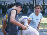 PICT2086.jpg