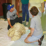 PICT7469.jpg