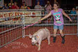 IMG_8128.jpg