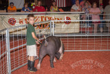 IMG_8145.jpg