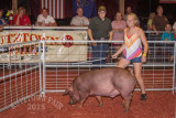 IMG_8176.jpg