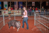 IMG_8195.jpg
