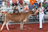 IMG_8256.jpg
