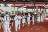 IMG_8341.jpg