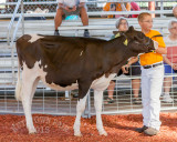 IMG_8867.jpg