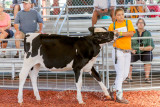 IMG_8868.jpg