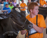 IMG_8944.jpg