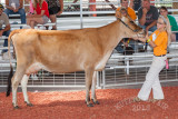 IMG_9086.jpg