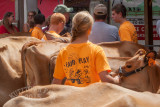 IMG_9101.jpg