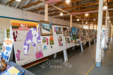 DSC01115.jpg
