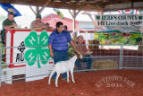 DSC01542.jpg
