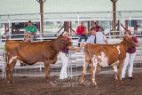 DSC00078.jpg