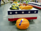 PICT9146.jpg