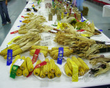 PICT9149.jpg