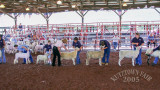 PICT9347.jpg