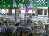 PICT9422.jpg