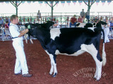 PICT9400.jpg