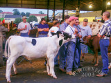 PICT4922.jpg