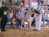 PICT5081.jpg