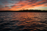 DSC03727.jpg