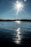 DSC03704.jpg