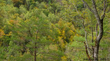 Great Smoky Mountains National Park