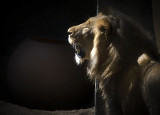 King of the BioPark