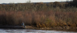 Resting Along the Rio Grande