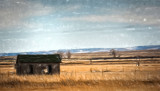 Prairie Remnant