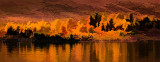 Angel Fire Aspen